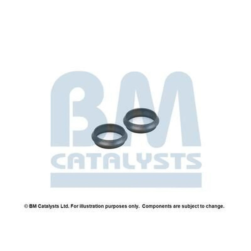 BM Catalysts Fitting Kit FK90974A FK90974A