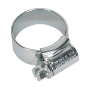 Sealey HI-GRIPï Hose Clip Zinc Plated17-25mm Pack of 20 HCJ0X Sealey - Dynamic Drive
