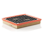 MANN-FILTER Engine Air Filter C 29 145