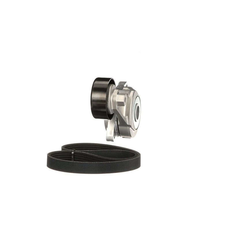 Gates V-Ribbed Belt Set K025PK1138