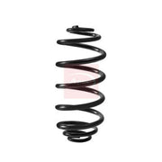 Apec Rear Suspension Coil Spring ACS2404