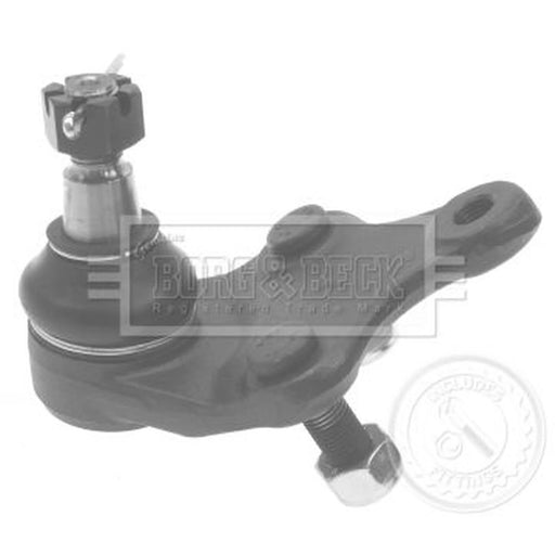 Borg & Beck Ball Joint Lower BBJ5625