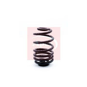 Apec Rear Suspension Coil Spring fits Nissan Primastar 2001-2006 1.9 2.0 2.5