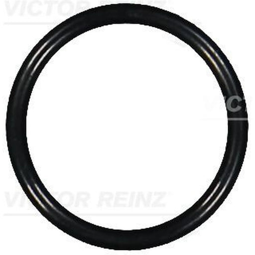 Victor Reinz Sealing Ring Gasket 40-76074-00