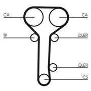 Continental CTAM Timing Belt Kit with Rollers fits Ford Cougar 1998-2001 2.0