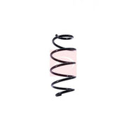 Apec Front Suspension Coil Spring ACS1416
