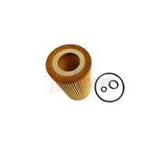 Fahren Engine Oil Filter FFL6056