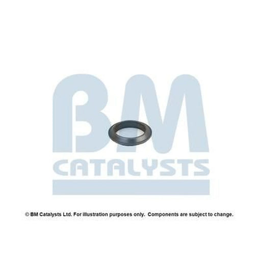 BM Catalysts Fitting Kit FK80008A FK80008A