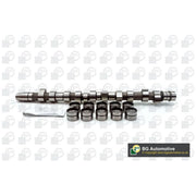 BGA Camshaft Kit Set With Bearings Intake Side CS3381K