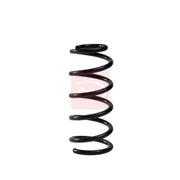 Apec Rear Suspension Coil Spring ACS2156