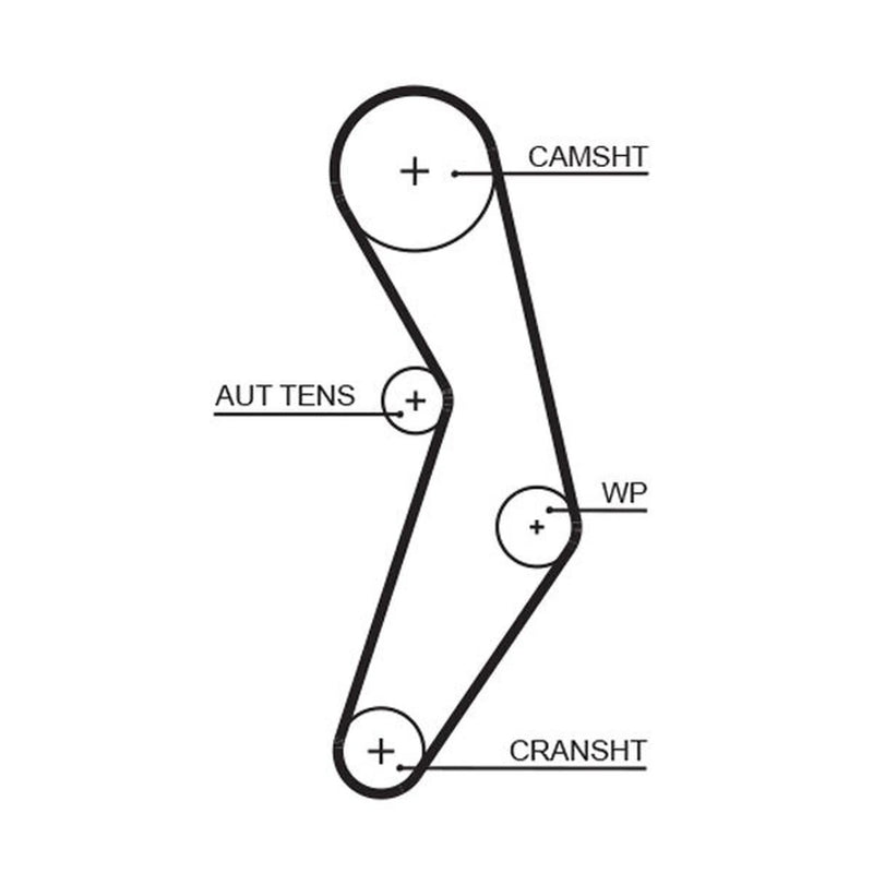 Gates Timing Belt Cambelt 124 Teeth fits Abarth 500 / 595 / 695 2008 on 1.4