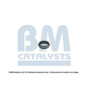 BM Catalysts Fitting Kit FK80038A FK80038A