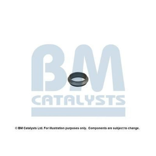 BM Catalysts Fitting Kit FK80038A FK80038A