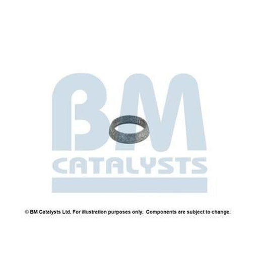 BM Catalysts Fitting Kit FK80092A FK80092A