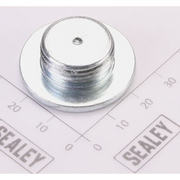 Sealey Saddle Bolt