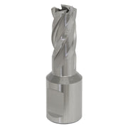 Sealey Rotabor Cutter HSS13mm Cut Depth 25mm RBHSS13S Sealey - Dynamic Drive