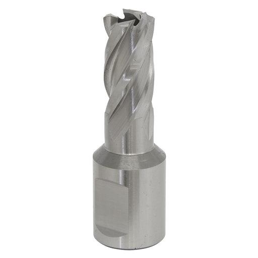 Sealey Rotabor Cutter HSS13mm Cut Depth 25mm RBHSS13S Sealey - Dynamic Drive