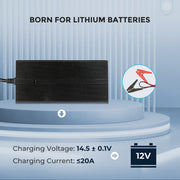 Renogy 20A 240V AC to DC Lithium Iron Phosphate Battery Charger Dyna-mo Solar - Dynamic Drive