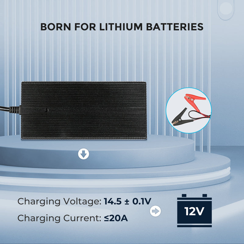 Renogy 20A 240V AC to DC Lithium Iron Phosphate Battery Charger Dyna-mo Solar - Dynamic Drive