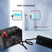 Renogy 20A 240V AC to DC Lithium Iron Phosphate Battery Charger Dyna-mo Solar - Dynamic Drive