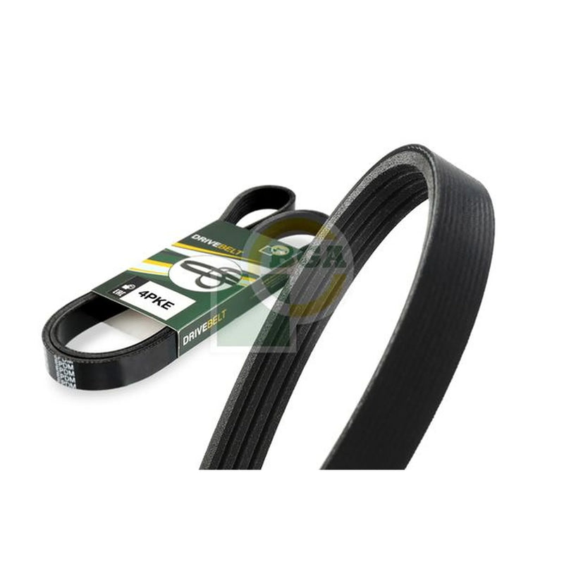 BGA Multi V-Ribbed Drive Belt 4PK1022E