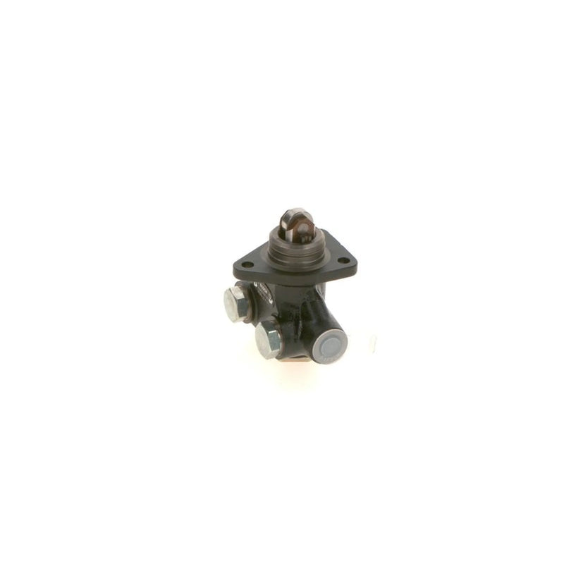 Bosch Fuel Pump Assembly