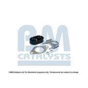 BM Catalysts Fitting Kit FK91183C FK91183C