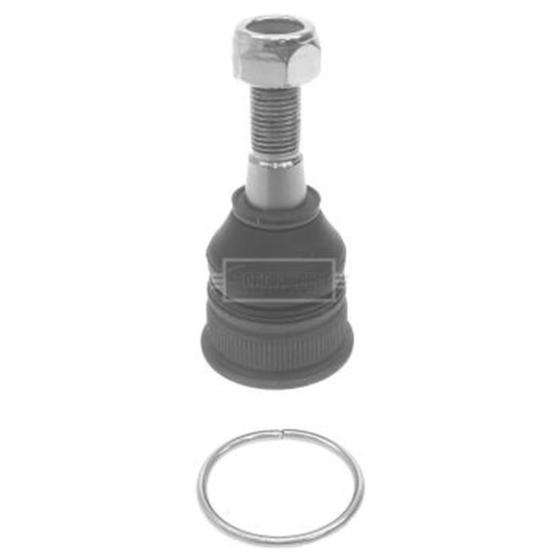 Borg & Beck Ball Joint Lower BBJ5574