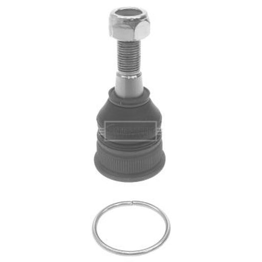 Borg & Beck Ball Joint Lower BBJ5574