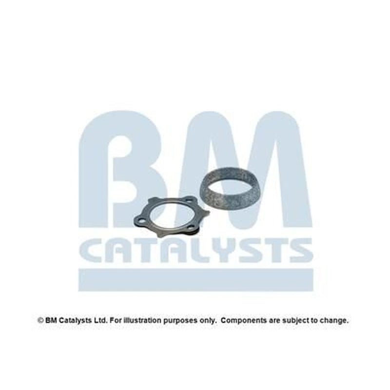 BM Catalysts Fitting Kit FK80463A FK80463A