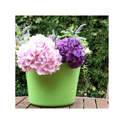 Red Gorilla Tub Trug Pistachio Small 14L SP14PST - SP14PST