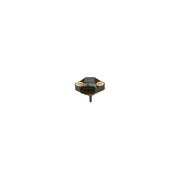 Bosch Generic Engine Sensor