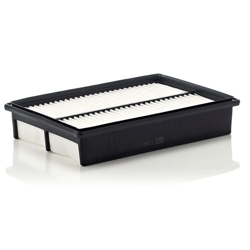 MANN-FILTER Engine Air Filter C 2841