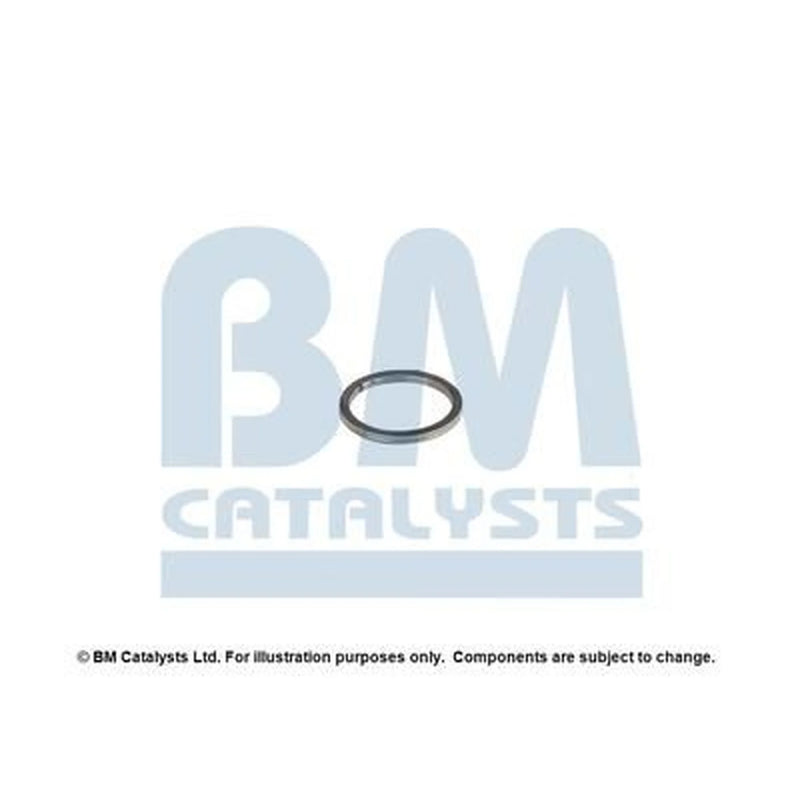 BM Catalysts Fitting Kit FK80253A FK80253A