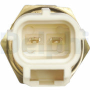 Delphi Coolant Temperature Sensor TS10289