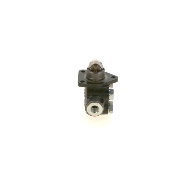 Bosch Fuel Pump Assembly