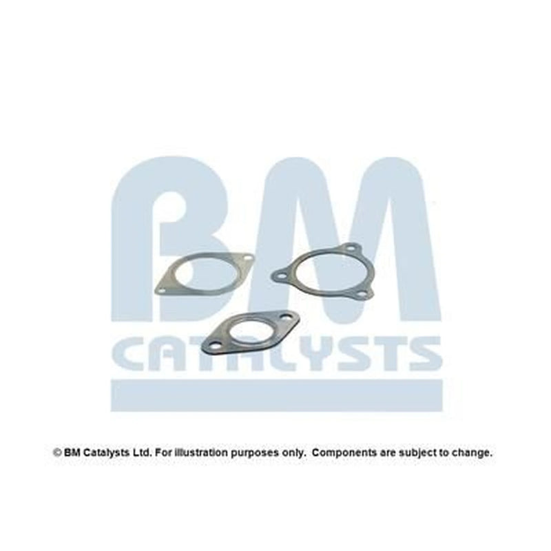 BM Catalysts Fitting Kit FK11290A FK11290A