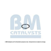 BM Catalysts Fitting Kit FK90797A FK90797A