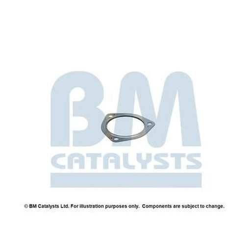 BM Catalysts Fitting Kit FK11198A FK11198A