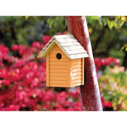 Ronseal Garden Paint Sunburst 250ml Ronseal - Dynamic Drive