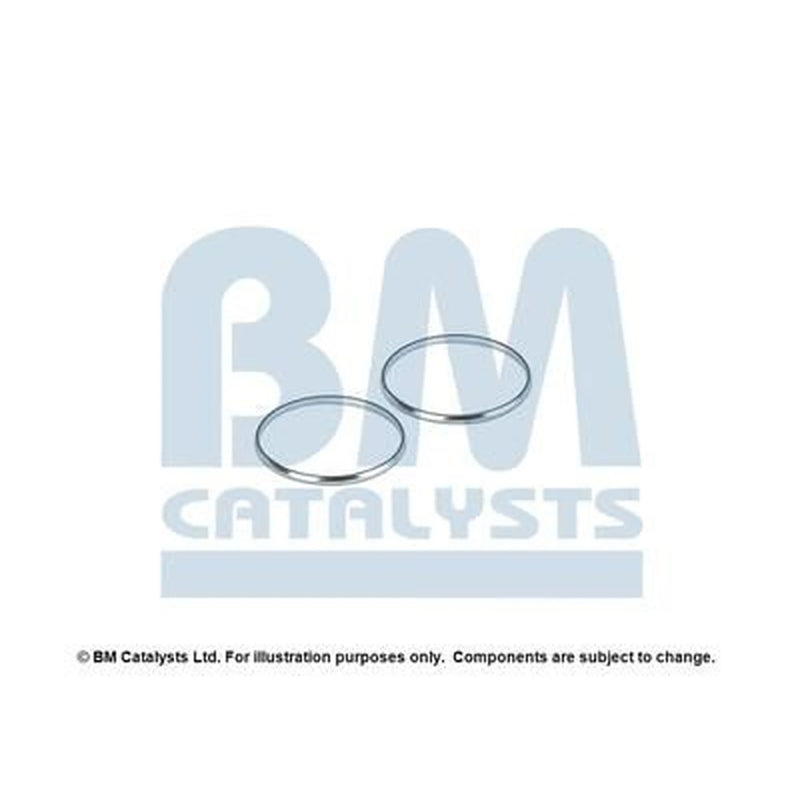 BM Catalysts Fitting Kit FK91141A FK91141A