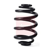 Apec Rear Suspension Coil Spring ACS2190