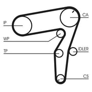 Continental CTAM Timing Belt Cambelt 190 Teeth fits Alfa Romeo 159 2005-2011 1.9