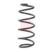 Apec Front Suspension Coil Spring ACS2456