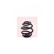 Apec Front & Rear Suspension Springs fits Audi A3 1999-2003