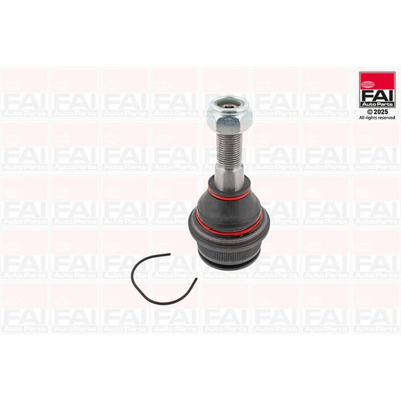 FAI 2 x Ball Joints