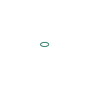 Bosch Rubber Seal Ring