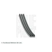 Blue Print Multi V-Ribbed Drive Belt AD03R872