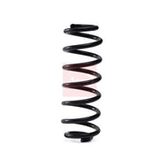 Apec Front & Rear Suspension Springs fits VW Jetta IV 2011-2017 1.4