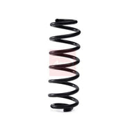 Apec Rear Suspension Coil Spring ACS2070